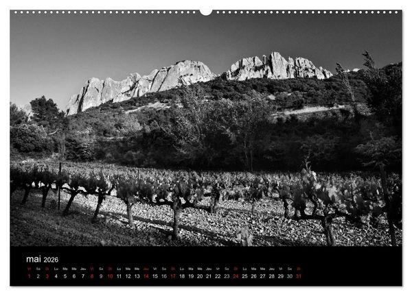 Produktbild: VIGNES DU SUD terroirs d'AOC (Calendrier mural 2026 DIN A2 vertical) calendrier de bureau