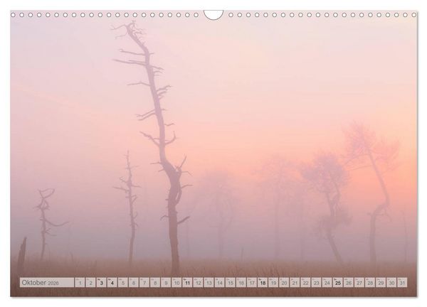 Produktbild: Moore und B&auml;che in Eifel und Ardennen (Wandkalender 2026 DIN A3 quer), CALVENDO Monatskalender
