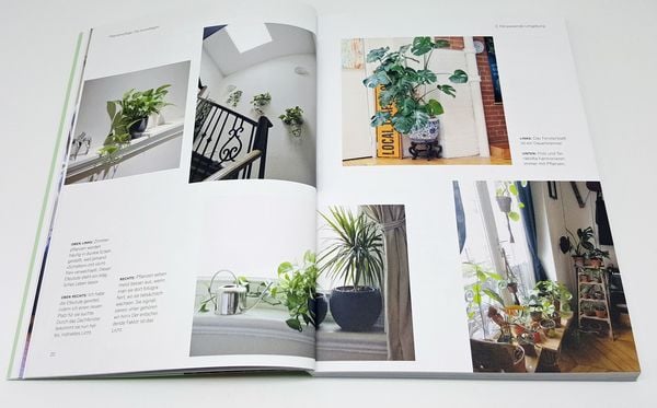 Produktbild: Gr&uuml;nes Zuhause