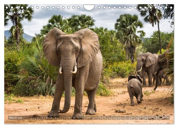 Produktbild: Zambia (Wall Calendar 2026 DIN A4 landscape), CALVENDO 12 Month Wall Calendar