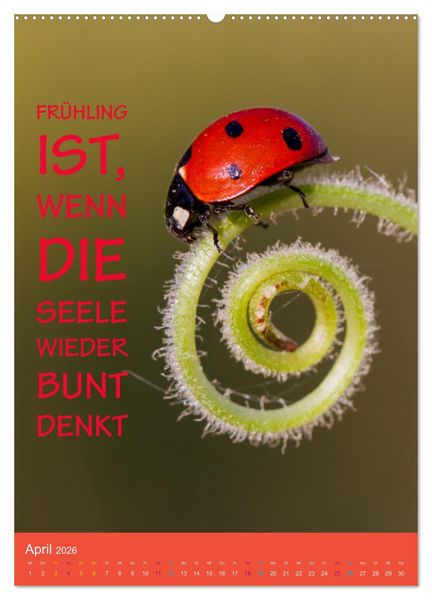 Produktbild: Die vier Jahreszeiten begleitet mit Spr&uuml;chen (Wandkalender 2026 DIN A2 hoch), CALVENDO Monatskalender