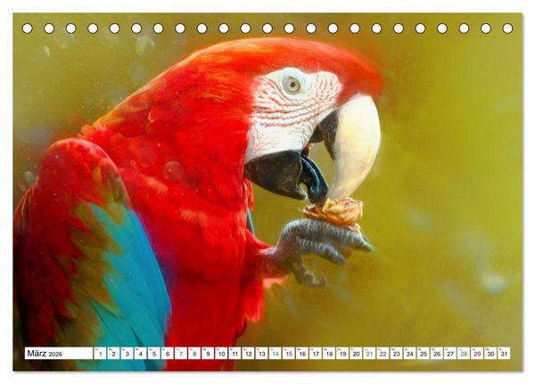 Produktbild: Papageien und Sittiche - Kunstbilder (Tischkalender 2026 DIN A5 quer), CALVENDO Monatskalender