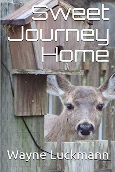 Produktbild: Sweet Journey Home