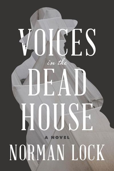 Produktbild: Voices in the Dead House