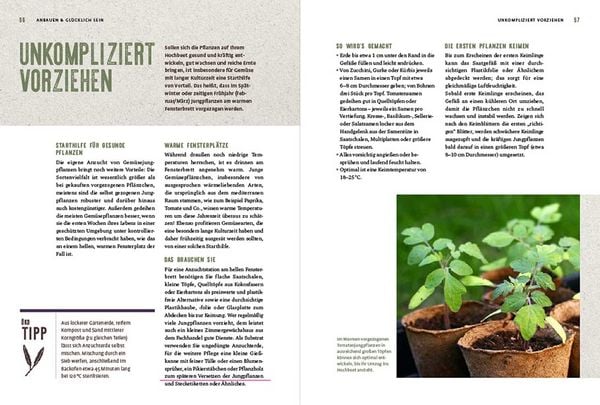 Produktbild: Das geniale Hochbeetbuch