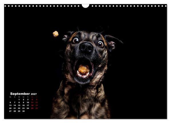 Produktbild: Leckerchen! (Wandkalender 2027 DIN A3 quer), CALVENDO Monatskalender