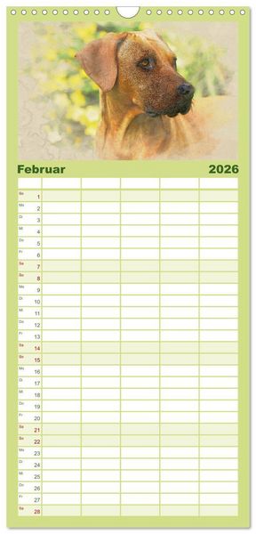 Produktbild: Familienplaner 2026 - Rhodesian Ridgeback 2026 mit 5 Spalten (Wandkalender, 21 x 45 cm) CALVENDO