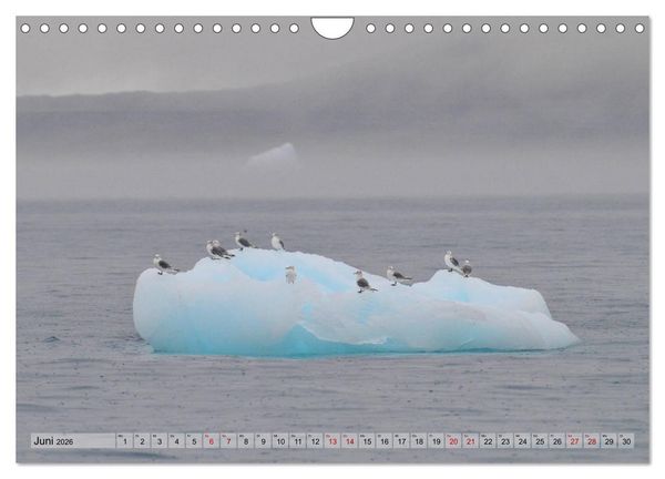 Produktbild: Gr&ouml;nland: Eisberge in der Disko Bucht (Wandkalender 2026 DIN A4 quer), CALVENDO Monatskalender