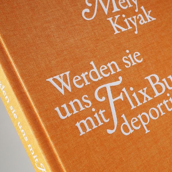 Produktbild: Werden sie uns mit FlixBus deportieren?