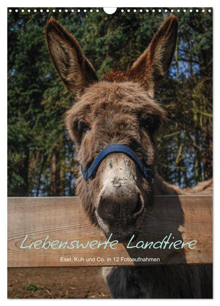 Produktbild: Liebenswerte Landtiere (Wandkalender 2026 DIN A3 hoch), CALVENDO Monatskalender