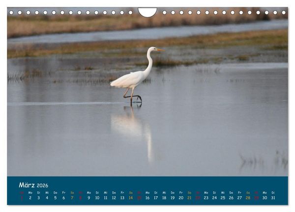 Produktbild: Naturschutzgebiet W&uuml;mme (Wandkalender 2026 DIN A4 quer), CALVENDO Monatskalender