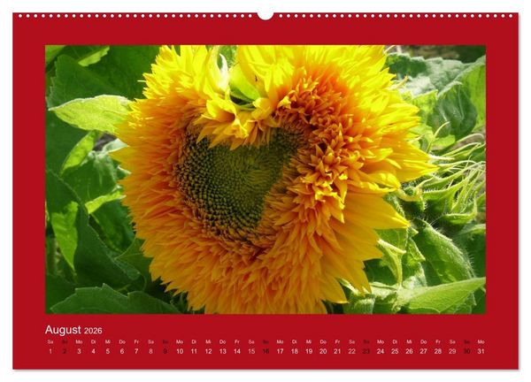 Produktbild: Botschaften mit Herz! (Wandkalender 2026 DIN A2 quer), CALVENDO Monatskalender