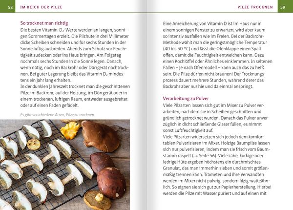 Produktbild: Heimische Heil- und Vitalpilze. Kompakt-Ratgeber