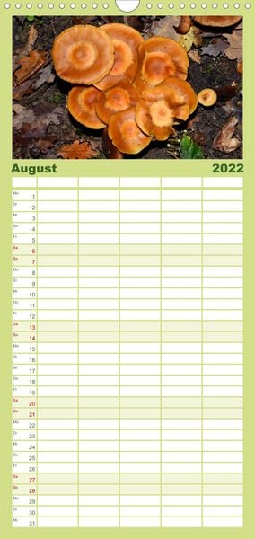 Produktbild: Familienplaner Pilze, Pilze (Wandkalender 2022 , 21 cm x 45 cm, hoch)