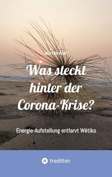 Produktbild: Was steckt hinter der Corona-Krise?