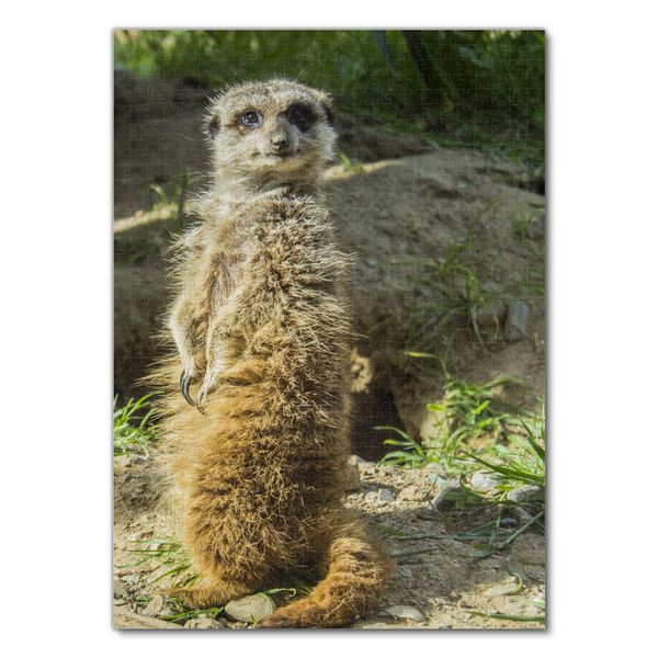 1000 Teile Puzzle - Lächelnde Erdmännchen Für Erwachsene & Teenager