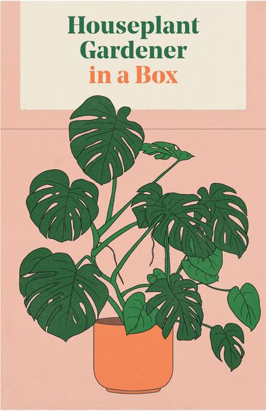 Produktbild: Houseplant Gardener in a Box