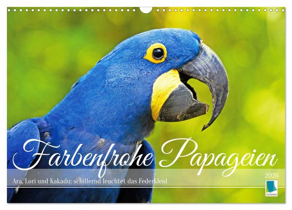 Produktbild: Farbenfrohe Papageien (Wandkalender 2026 DIN A3 quer), CALVENDO Monatskalender