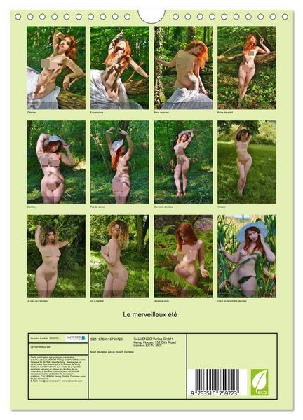 Produktbild: Le merveilleux &eacute;t&eacute; (Calendrier mural 2027 DIN A4 horizontal), CALVENDO calendrier mensuel