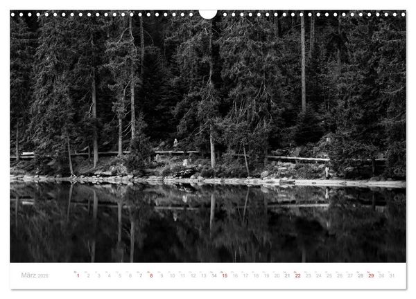Produktbild: Mystischer Schwarzwald (Wandkalender 2026 DIN A3 quer), CALVENDO Monatskalender