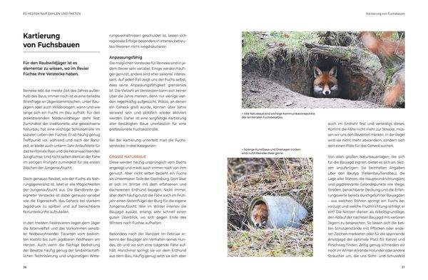 Produktbild: Das gro&szlig;e BLV Handbuch Niederwild