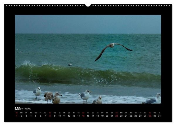 Produktbild: An der Nordsee (hochwertiger Premium Wandkalender 2026 DIN A2 quer), Kunstdruck in Hochglanz