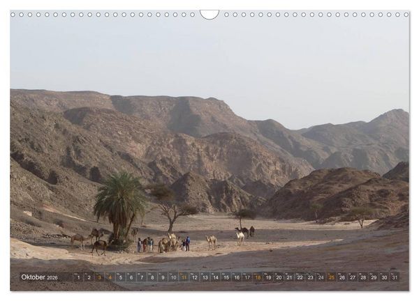 Produktbild: Impressionen Kameltrekking Sinai 2026 (Wandkalender 2026 DIN A3 quer), CALVENDO Monatskalender