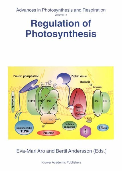 Produktbild: Regulation of Photosynthesis