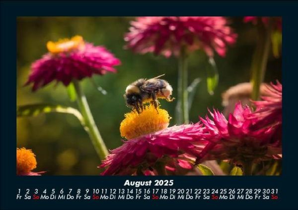 Produktbild: Bienen 2025 Fotokalender DIN A5