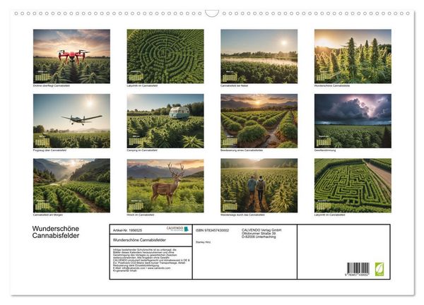 Produktbild: Wundersch&ouml;ne Cannabisfelder (Wandkalender 2026 DIN A2 quer), CALVENDO Monatskalender