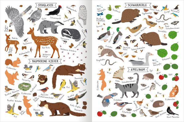 Produktbild: Naturforscher-Kids &ndash; Stickerheft B&auml;ume