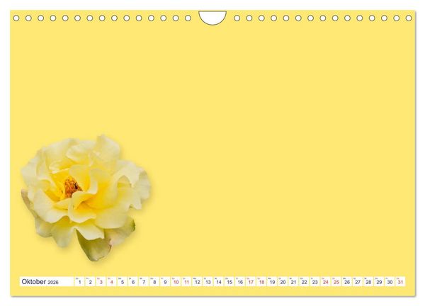 Produktbild: DIY POESIE - BASTELKALENDER (Wandkalender 2026 DIN A4 quer), CALVENDO Monatskalender