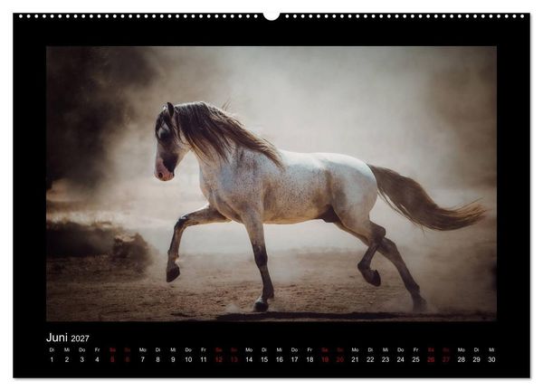 Produktbild: Die Faszinierende Welt der Pferde (hochwertiger Premium Wandkalender 2027 DIN A2 quer), Kunstdruck in Hochglanz