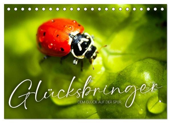 Glücksbringer - Dem Glück auf der Spur. (Tischkalender 2026 DIN A5 quer), CALVENDO Monatskalender