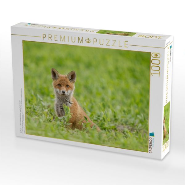 Produktbild: CALVENDO Puzzle Ein Motiv aus dem Kalender F&uuml;chse - zauberhafte Seelen | 1000 Teile Lege-Gr&ouml;&szlig;e 64x48cm Foto-Puzzle f&uuml;r gl&uuml;ckliche Stunden