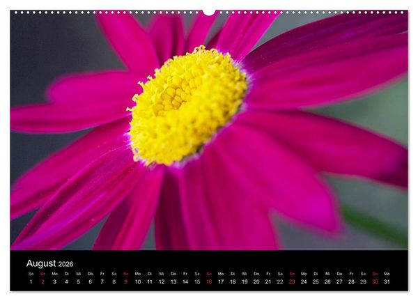 Produktbild: Blumige Farben (Wandkalender 2026 DIN A2 quer), CALVENDO Monatskalender