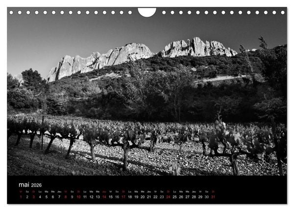 Produktbild: VIGNES DU SUD terroirs d'AOC (Calendrier mural 2026 DIN A4 vertical), CALVENDO calendrier mensuel