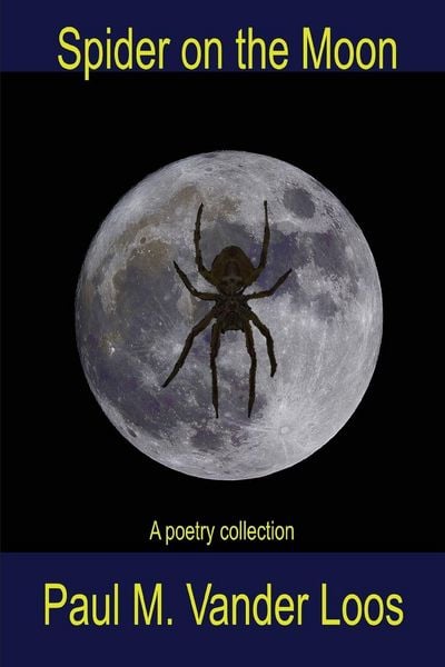 Produktbild: Spider on the Moon
