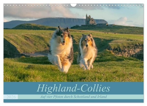 Produktbild: Highland-Collies - Auf vier Pfoten durch Schottland und Irland (Wandkalender 2026 DIN A3 quer), CALVENDO Monatskalender