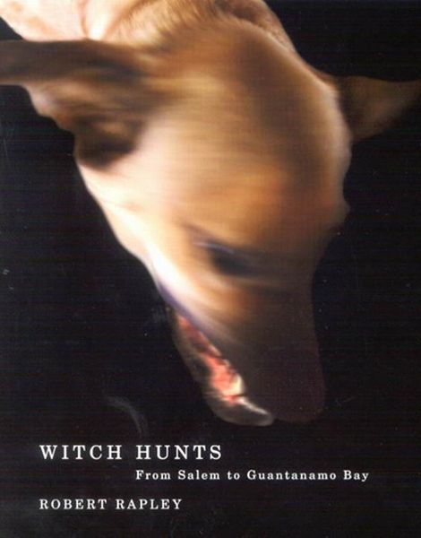 Produktbild: Witch Hunts