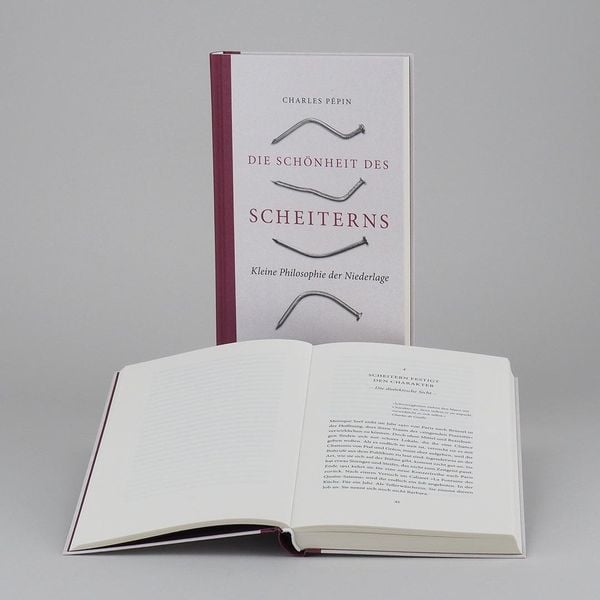 Produktbild: Die Sch&ouml;nheit des Scheiterns