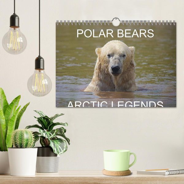 Produktbild: POLAR BEARS - ARCTIC LEGENDS (Wall Calendar 2026 DIN A4 landscape), CALVENDO 12 Month Wall Calendar