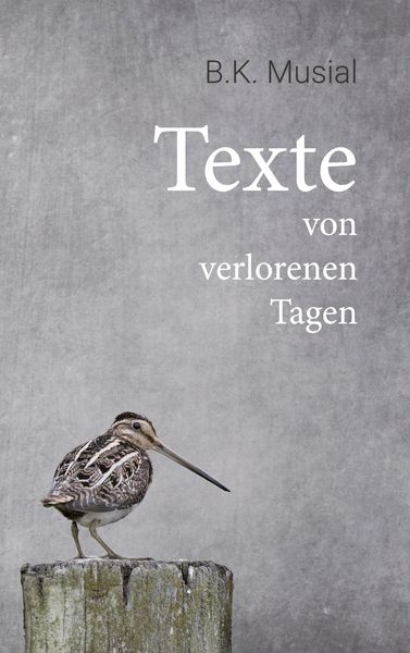 Produktbild: Texte von verlorenen Tagen