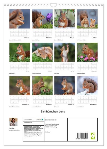 Produktbild: Eichh&ouml;rnchen Luna (Wandkalender 2026 DIN A3 hoch), CALVENDO Monatskalender