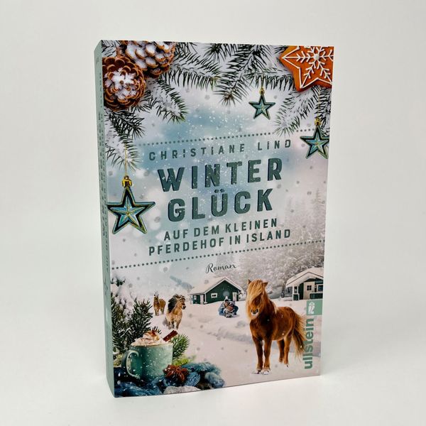Produktbild: Wintergl&uuml;ck auf dem kleinen Pferdehof in Island