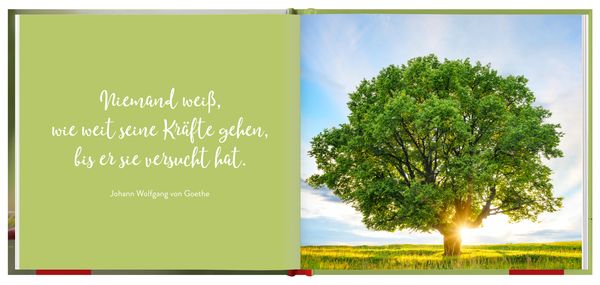 Produktbild: Kraftmomente f&uuml;r dich