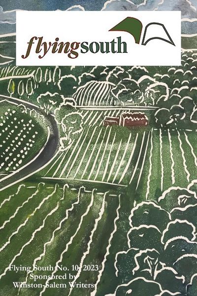 Produktbild: Flying South 2023