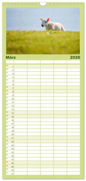 Produktbild: Familienplaner 2026 - Unter Schafen - Wegbegleiter auf Reisen mit 5 Spalten (Wandkalender, 21 x 45 cm) CALVENDO