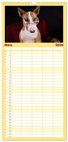 Produktbild: Familienplaner 2026 - Bullterrier mit 5 Spalten (Wandkalender, 21 x 45 cm) CALVENDO