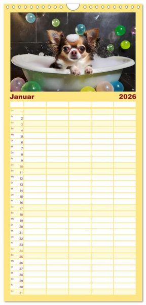 Produktbild: Familienplaner 2026 - Chillige Chihuahuas - Entspannte Fellnasen genie&szlig;en das Leben mit 5 Spalten (Wandkalender, 21 x 45 cm) CALVENDO